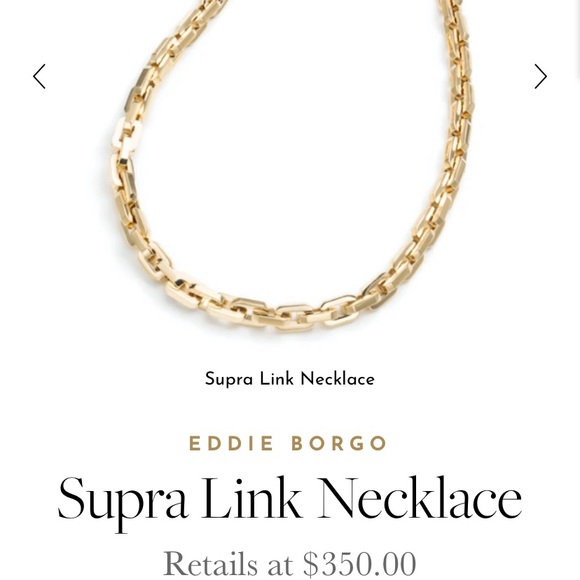 NEW*** Eddie Borgo Supra Link Necklace - Picture 2 of 2